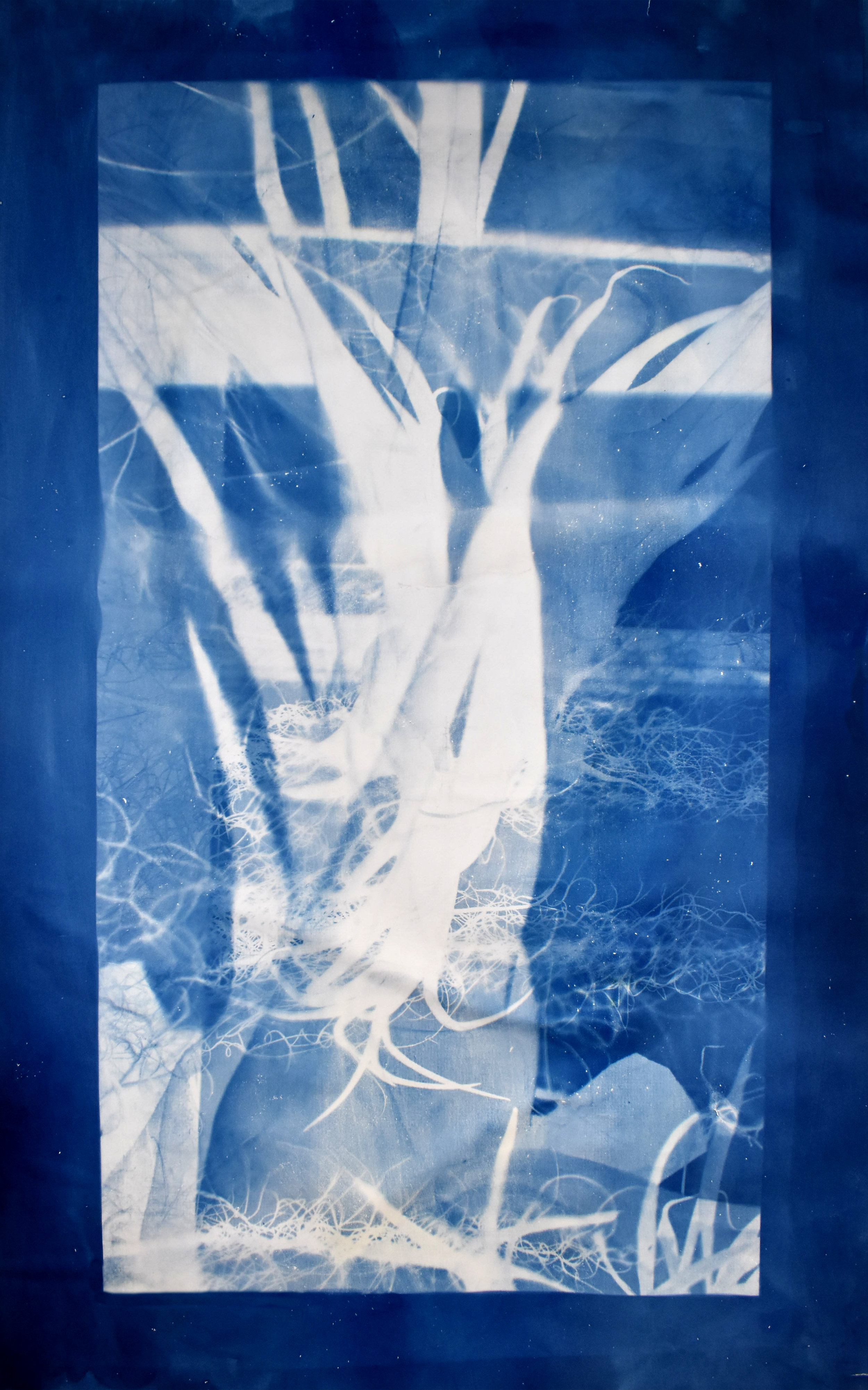 Interlaced (cyan) No. 2, 2019, series of 3 cyanotypes. Based on a superposition of macroscopic photographs taken of orchids, greenhouses of Versailles-Chèvreloup, France. 70cm x 150cm each.