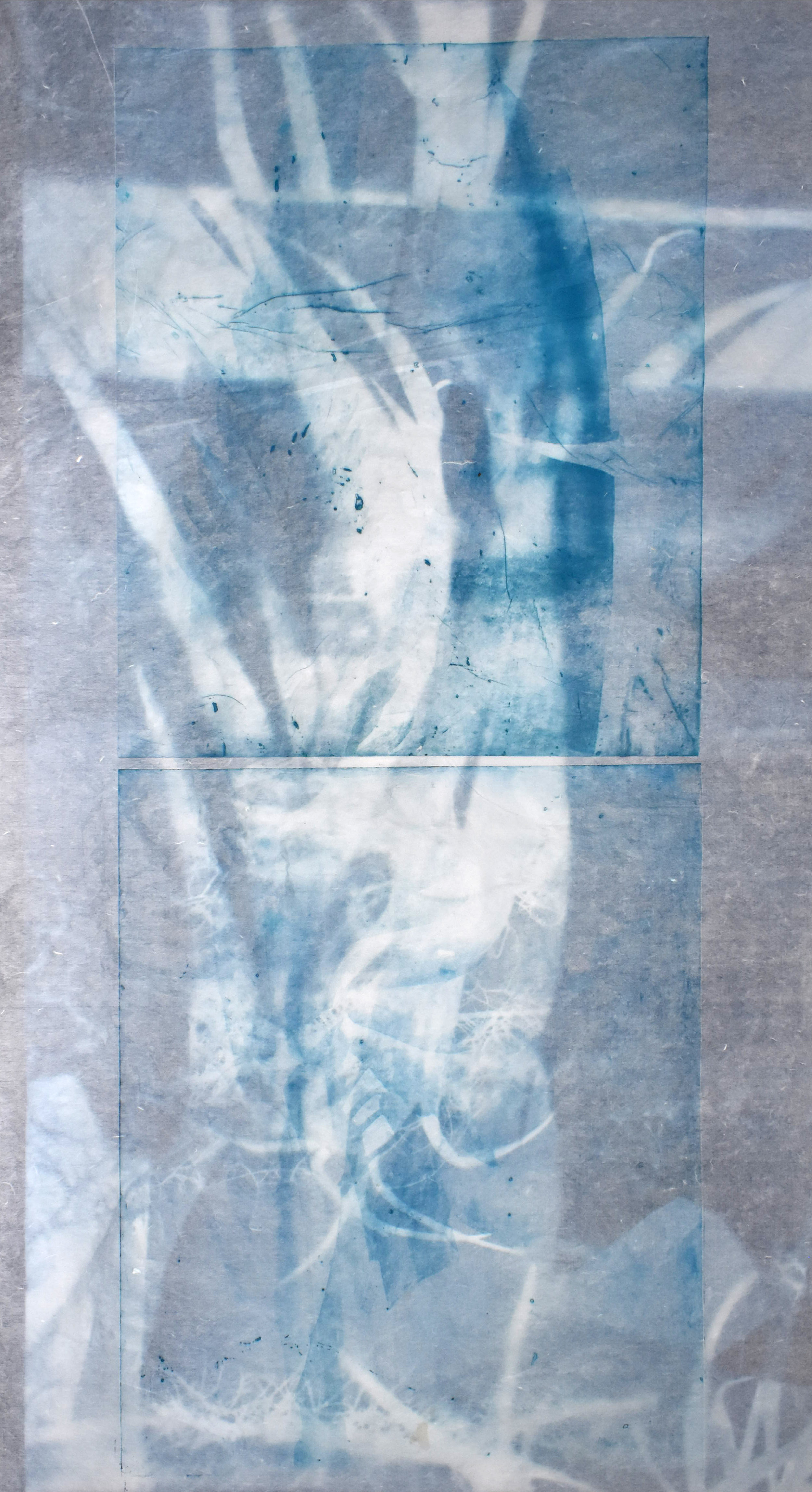 Superposition of Interlaced (cyan), No. 2 and Transparent Growth, 2019 (photopolymer print on Korean semi-transparent paper, superposing macroscopic images of banana leaves and other plants (taken at the greenhouses of Versailles-Chèvreloup, France).