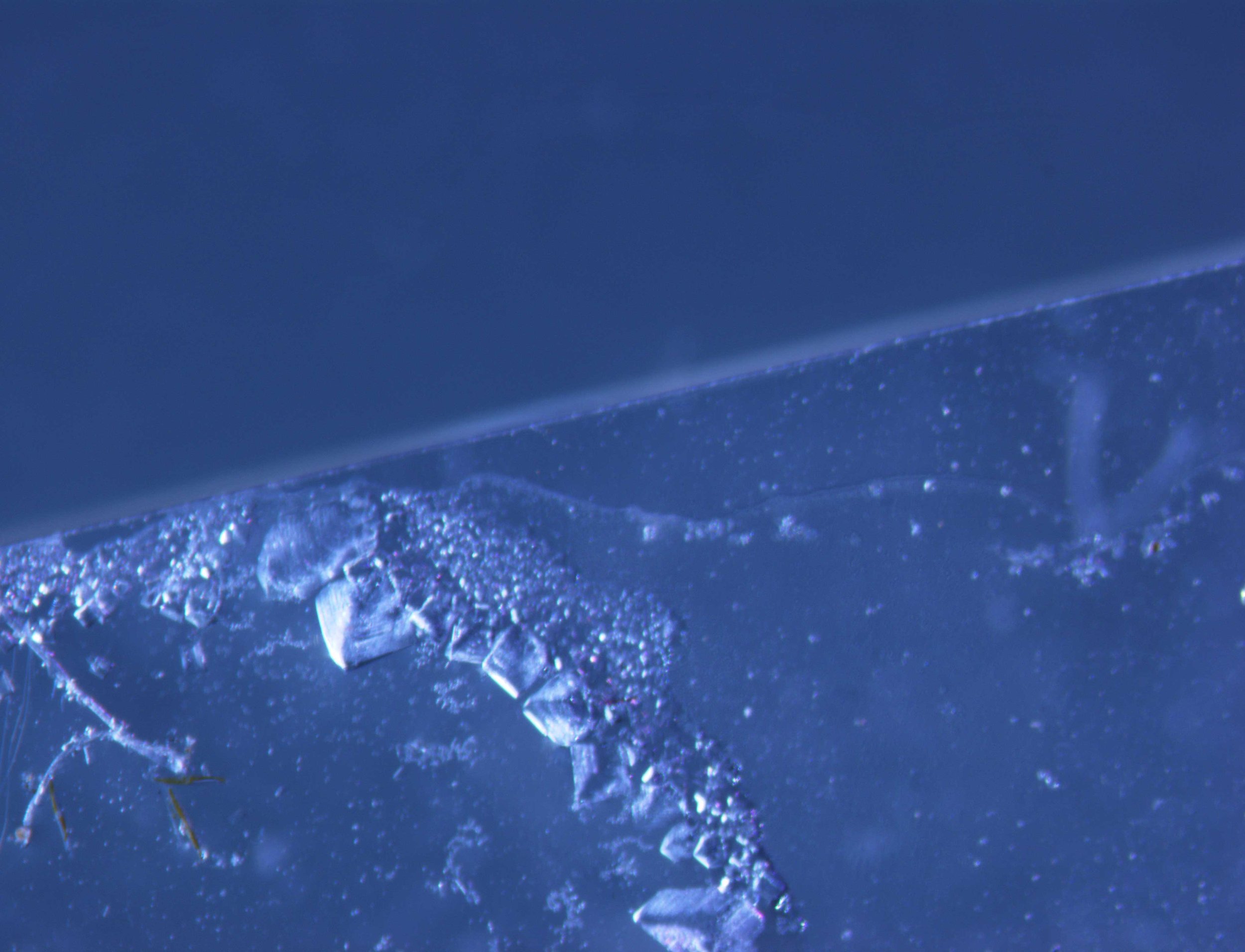 BIOFILM-23_for-web.jpg
