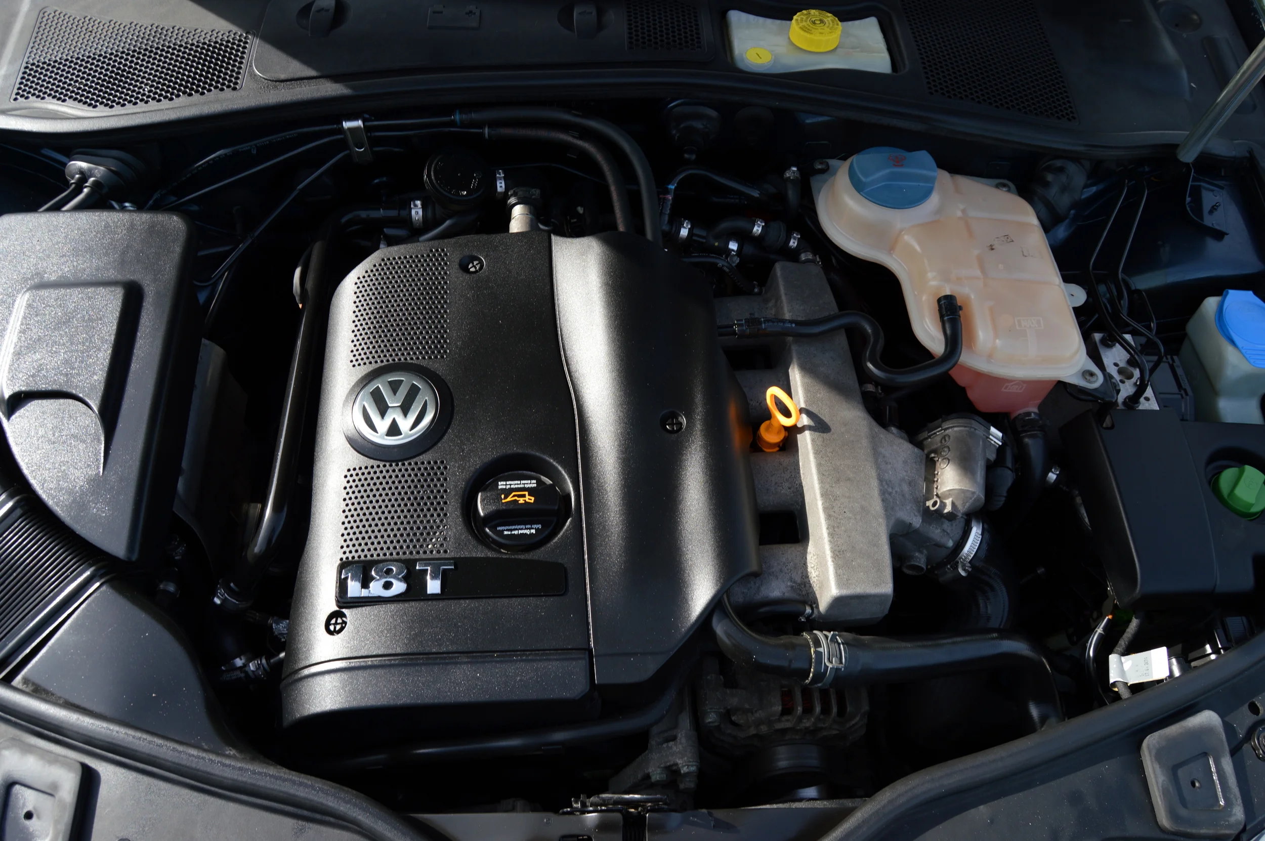 SELLER-04 PASSAT BLUE (TEETS) 012 A.jpg