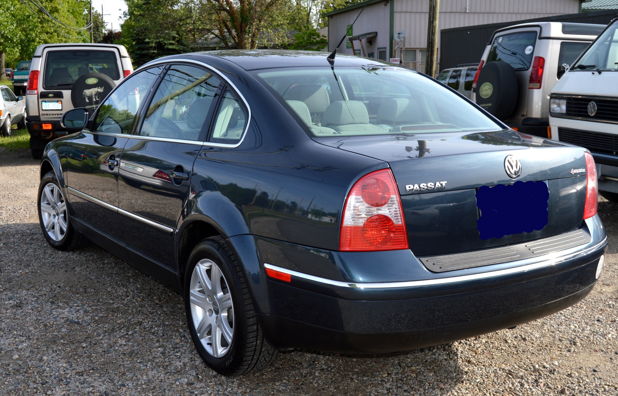 SELLER-04 PASSAT BLUE (TEETS) 004 A.jpg