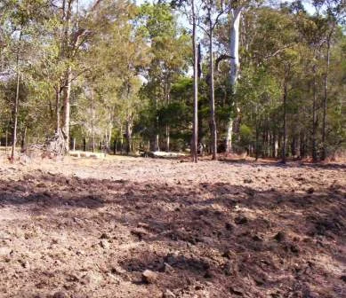 18-Ripping and soil amelioration.jpg