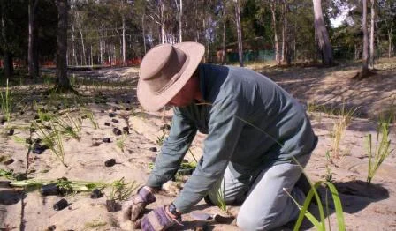 28-Planting.jpg