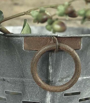 olive+bucket+farm+decor+.jpg