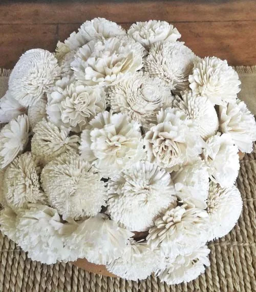 Terracotta Pot with Cream Sola Flowers Country+Farmhouse+Home