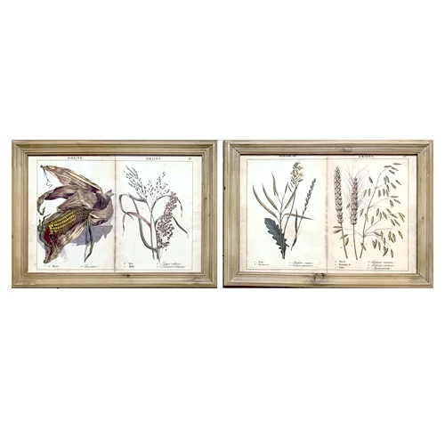 Set of Two Framed Grains and Grasses Prints