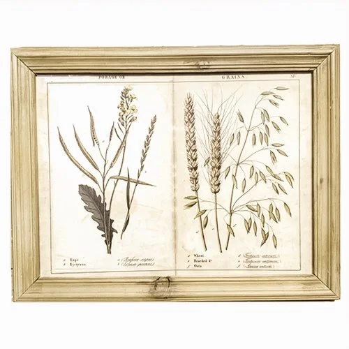 Set of Two Framed Grains and Grasses Prints