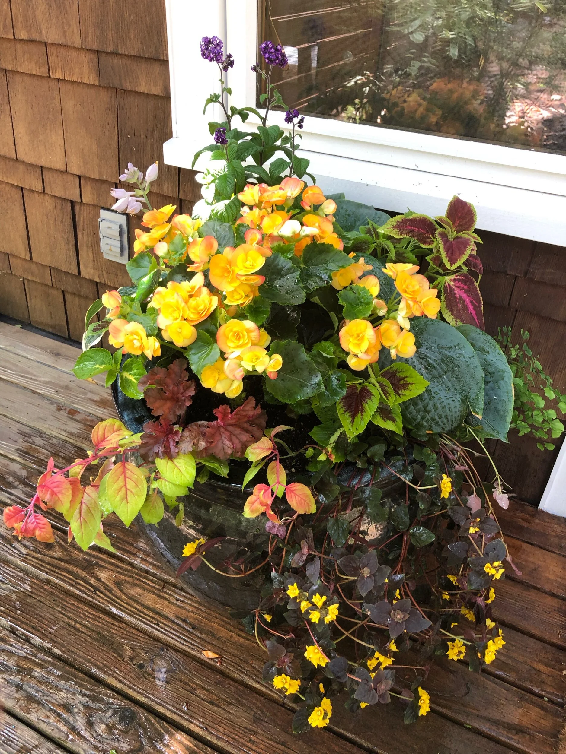 Summer Install (May)