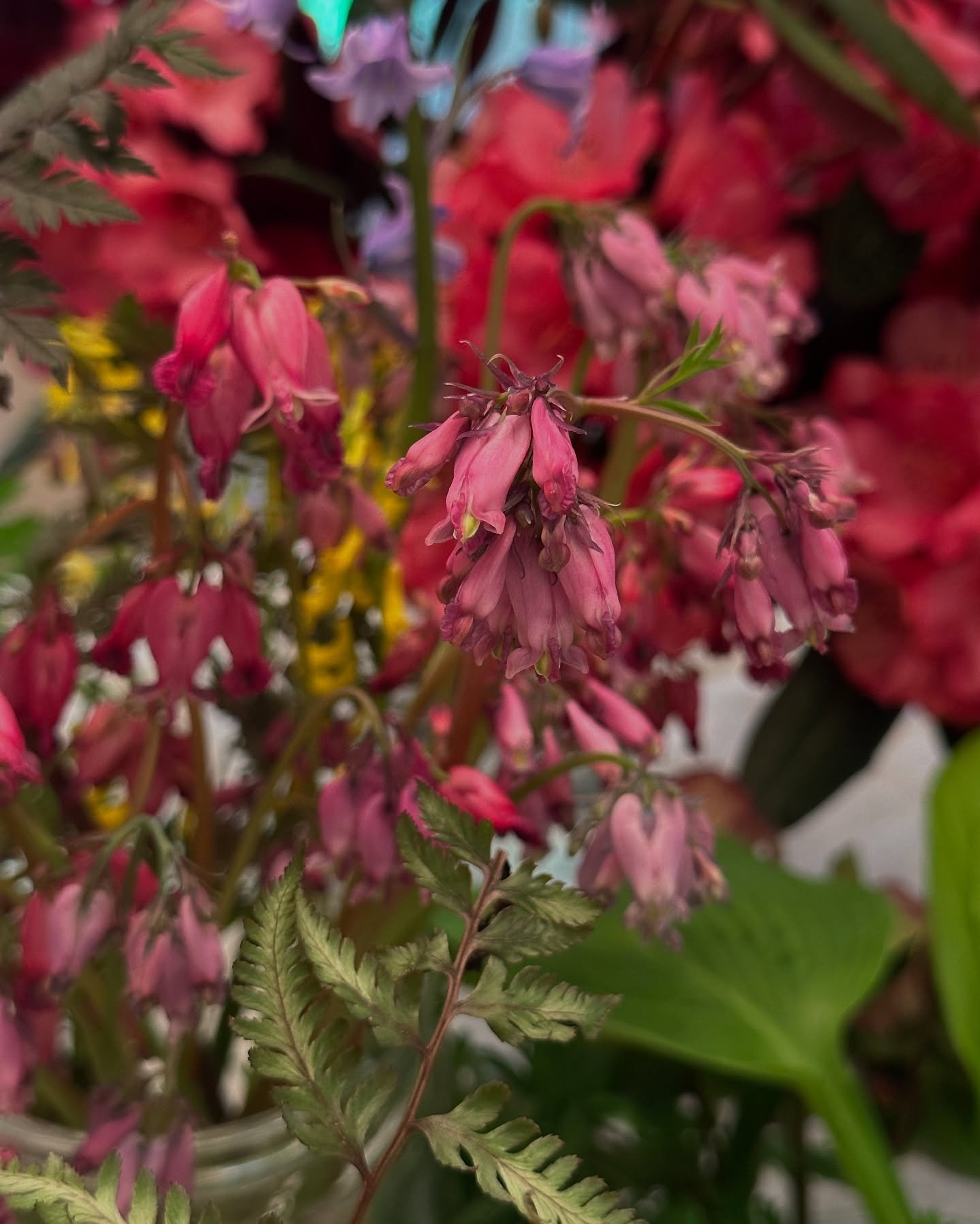 I&rsquo;m starting to collect goodies for Saturday&rsquo;s spring floral workshop- Hellebores, Hosta leaves, Japanese painted fern, bleeding heart, and so much more! There are a few spots left, visit my website for more info. @downpourbrewing #botani