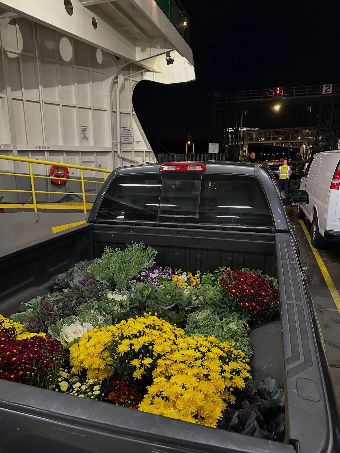 It’s that time of year! First load of fall color ferry bound and heading your way. Looking for that extra something to spice up your front entry? I’m your gal #plantsonaboat #fallcolor #botanistaplantpick