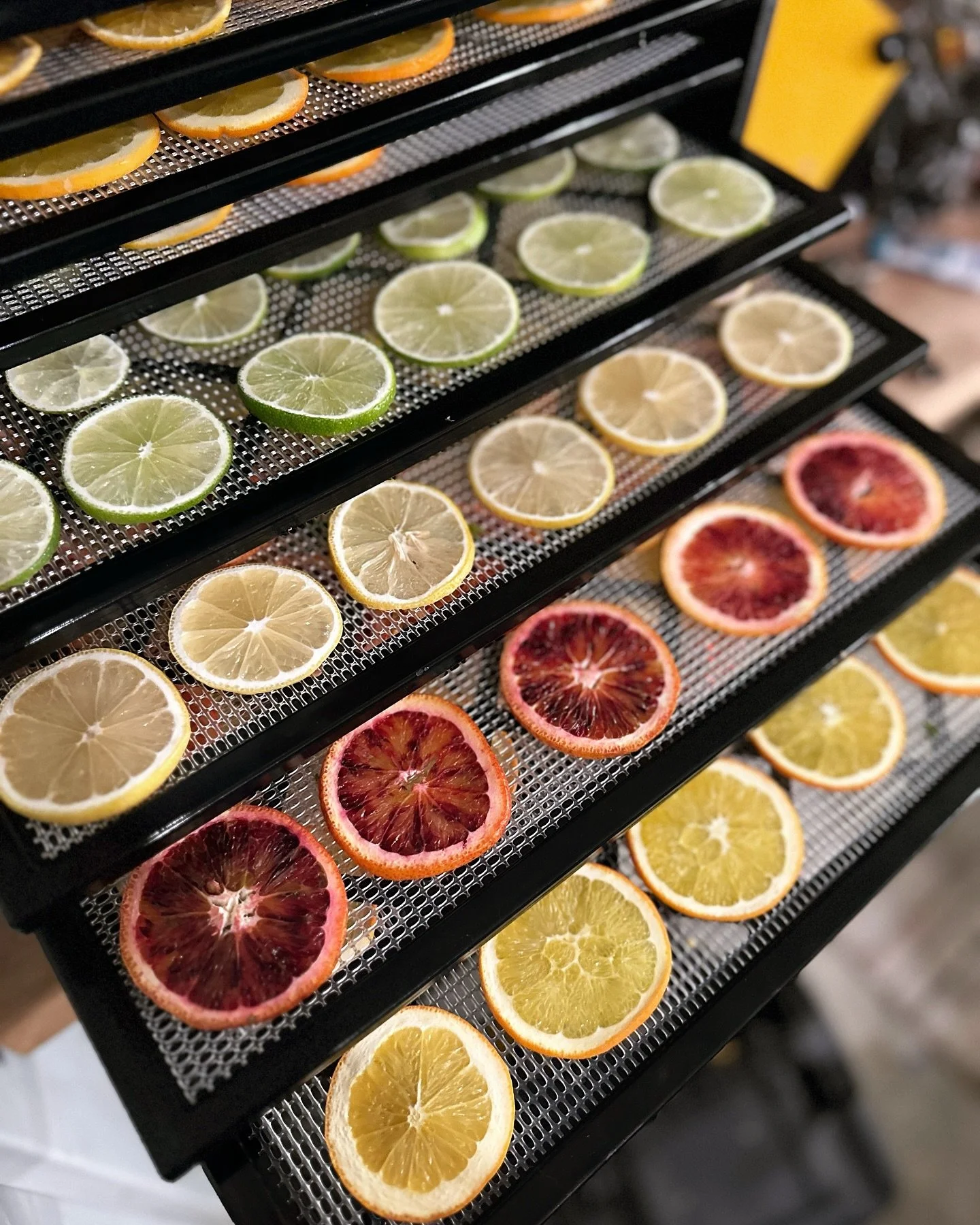 Prepping for wreath making this weekend! Who doesn&rsquo;t love colorful dried citrus? Saturday is sold out and there are still a few spots left Sunday! Visit my website to sign up #citrus #botanistaworkshop #kingstonwa #wreathmaking