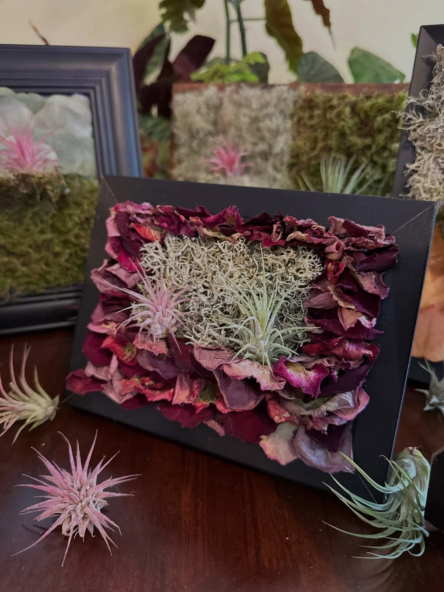 Mark your calendars - Saturday February 28th Botanical Art workshop at Friends and Neighbors Brewing in Kingston! Mailing list members - check your email for the special code - two secret bonus surprises await! Visit the website for more information 