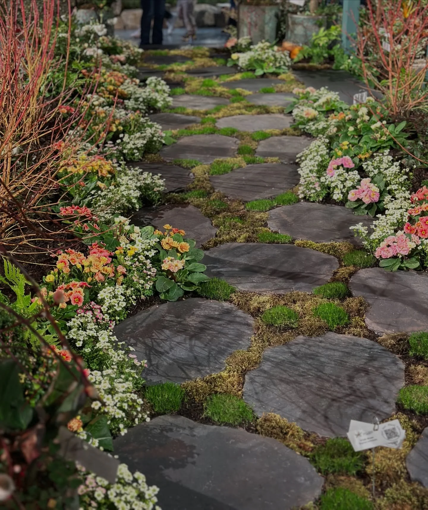 What a blast! @nwfgs has all the signs and smells of spring. I&rsquo;ve got so much to share! Here are a few shots, more to come #flowershow #nwfgs #showgardens #pnwgardening #signsofspring