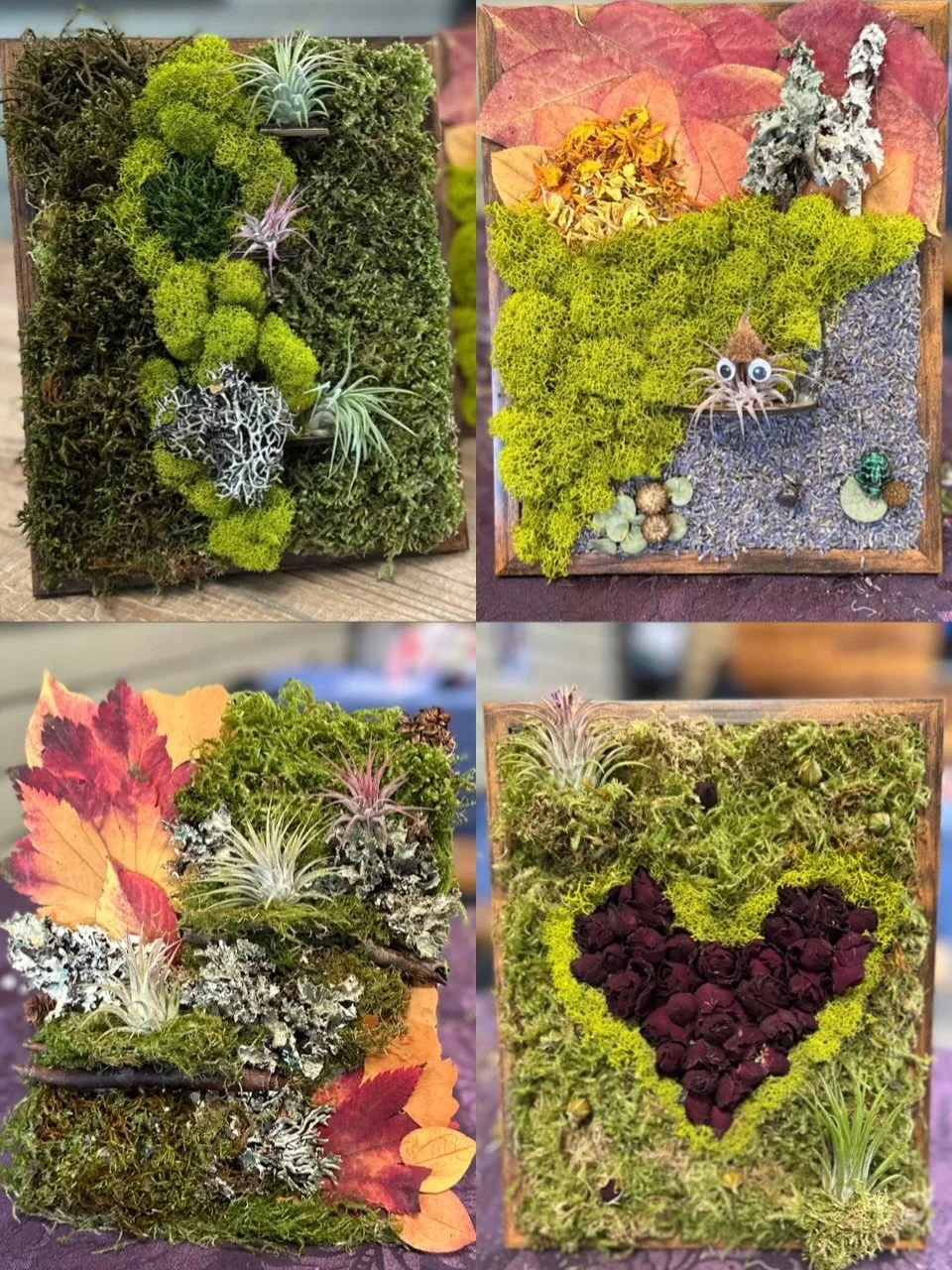 Saturday was great fun at @fanbrewing Friends and Neighbors Brewing! 🖼️ Using moss, lichen, dried flowers and other natural materials, we created botanical wall art with shelves for living air plants!

💐I&rsquo;m looking forward to upcoming worksho