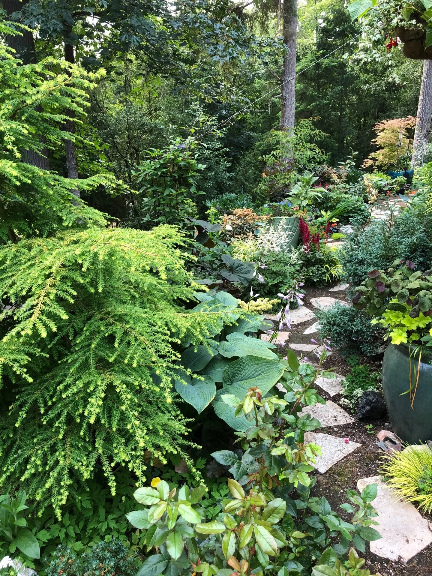 A glimpse of what&rsquo;s to come&hellip; 
Garden blooms are on their way for a spring floral workshop.
Mailing list friends, keep an eye on your inbox!
New workshop details + plant sale announcement coming soon 🪴