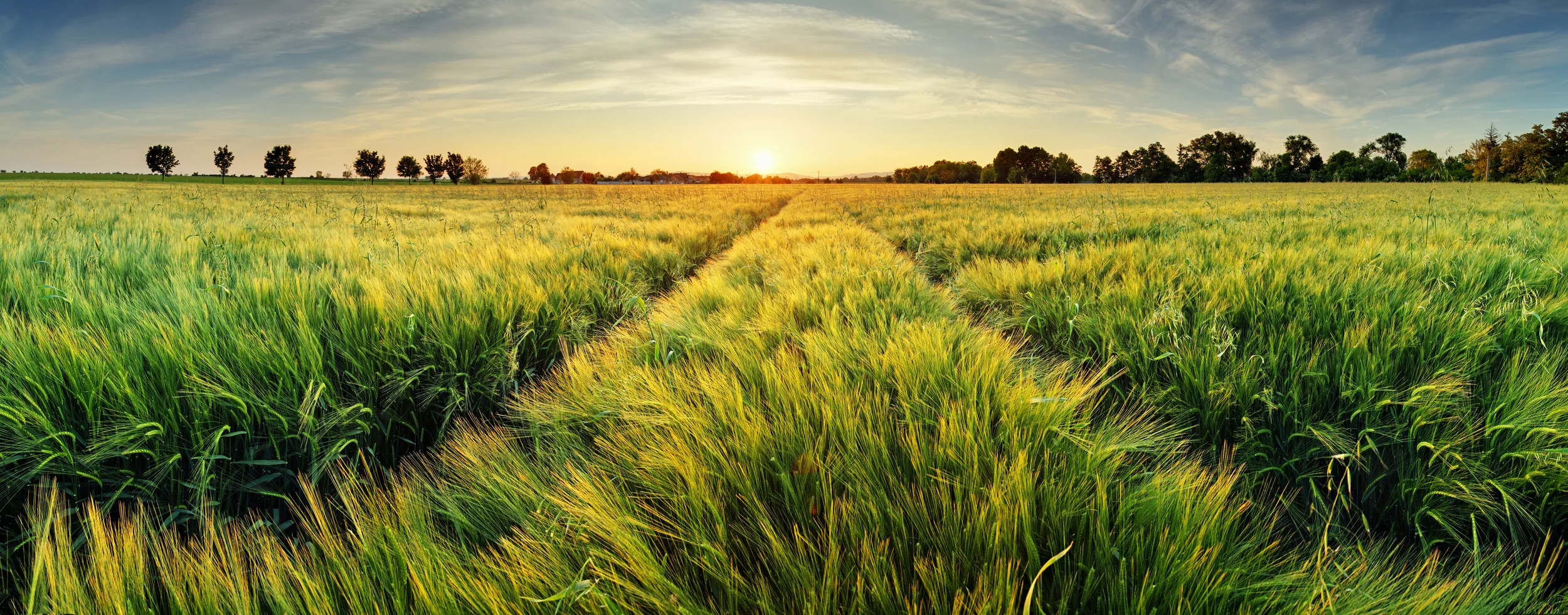 iStock_67600541_LARGE.jpg