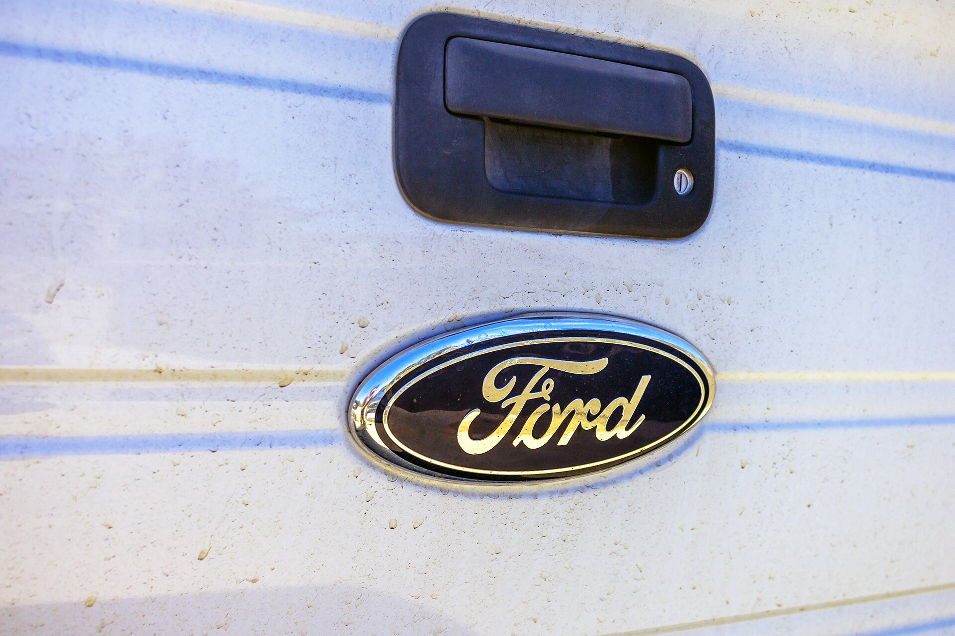 2009 Ford F150 Factory Emblem.jpg