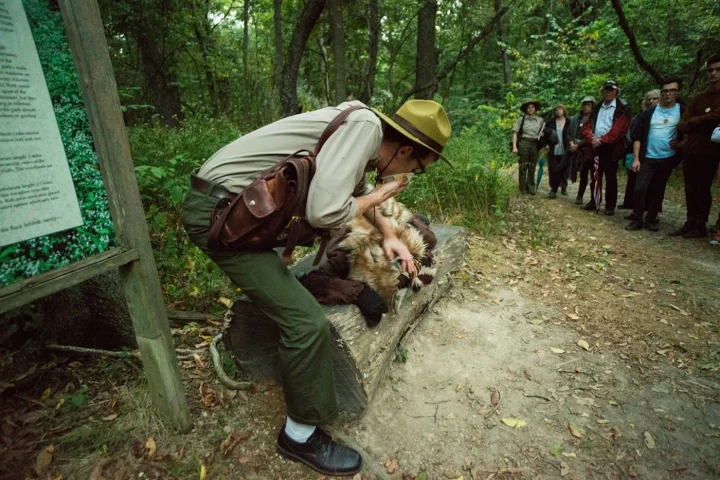 fig.-4-Weaver-Deke-2013-The-Unreliable-Bestiary-Wolf-Ranger-Dave-examines-a-foul-smelling-wolf-on-a-log-Allerton-Park-Piatt-County-IL-720x480.jpg