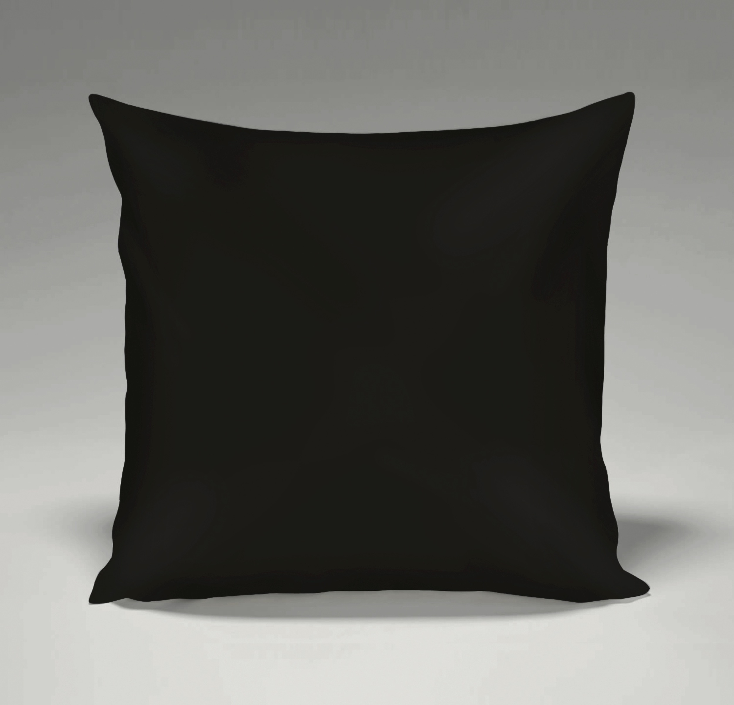 Pillow_Back.jpg
