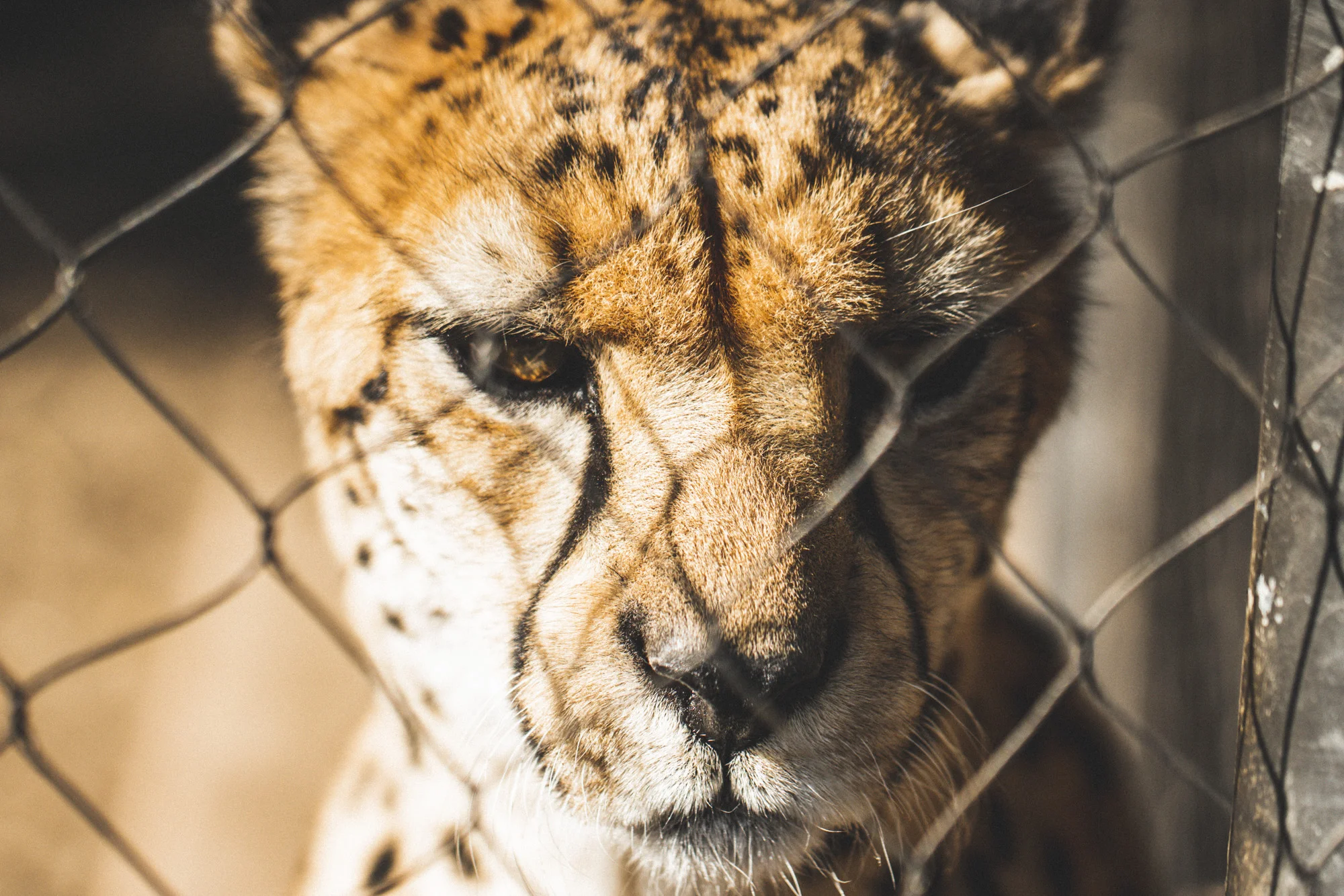 San Diego Zoo