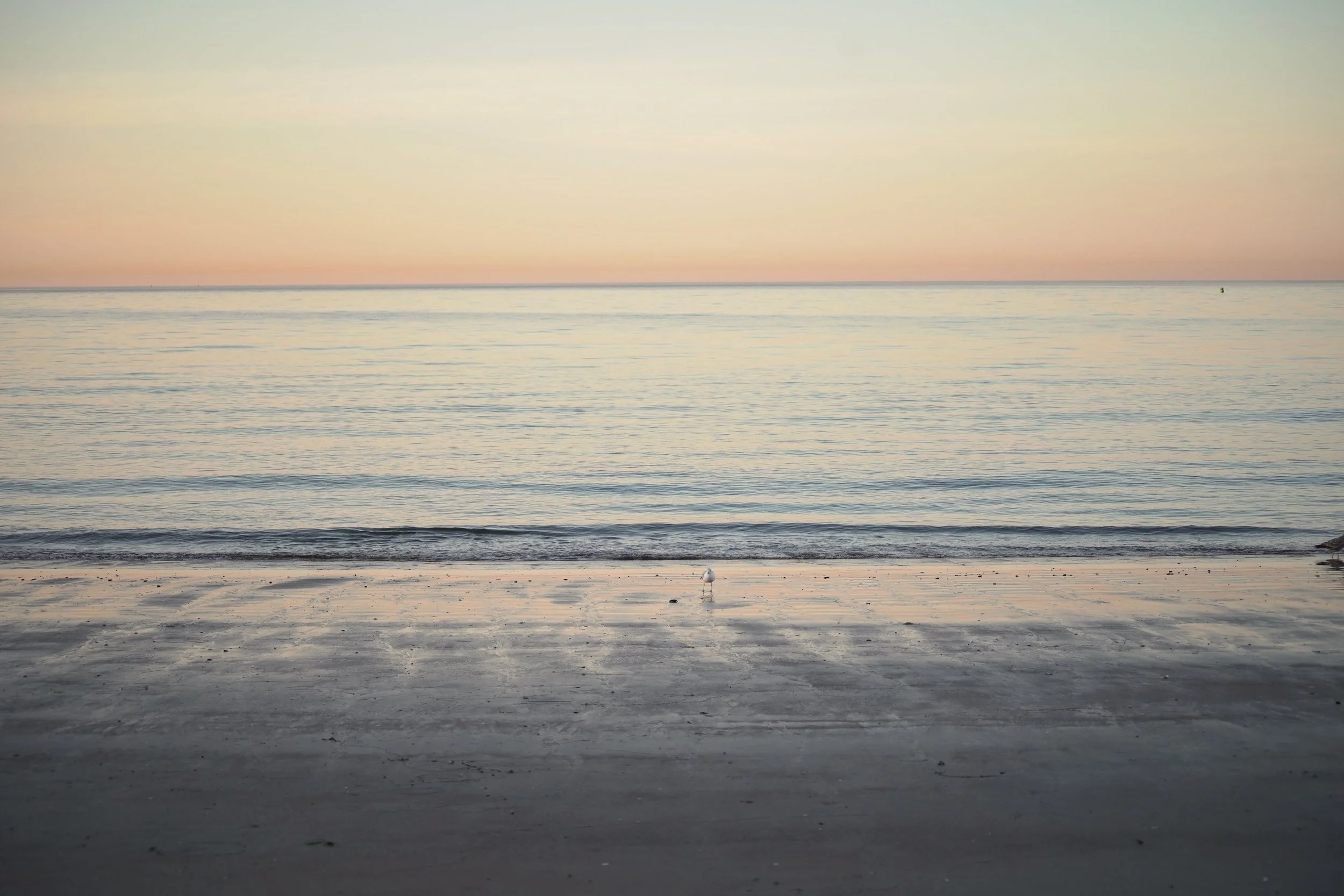 beach horizon.jpg
