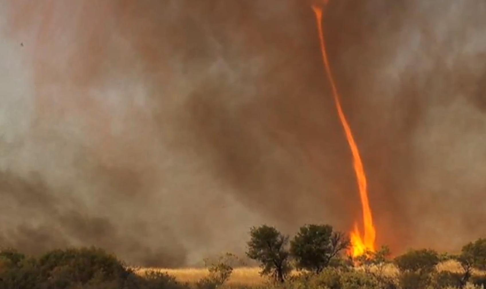 fire.jpg