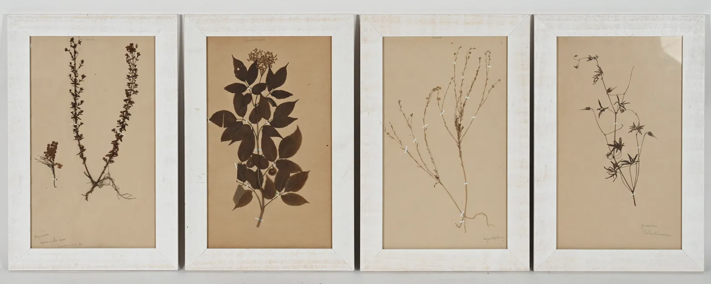 Screenshot 2025-06-16 at 10.22.04 AM.png