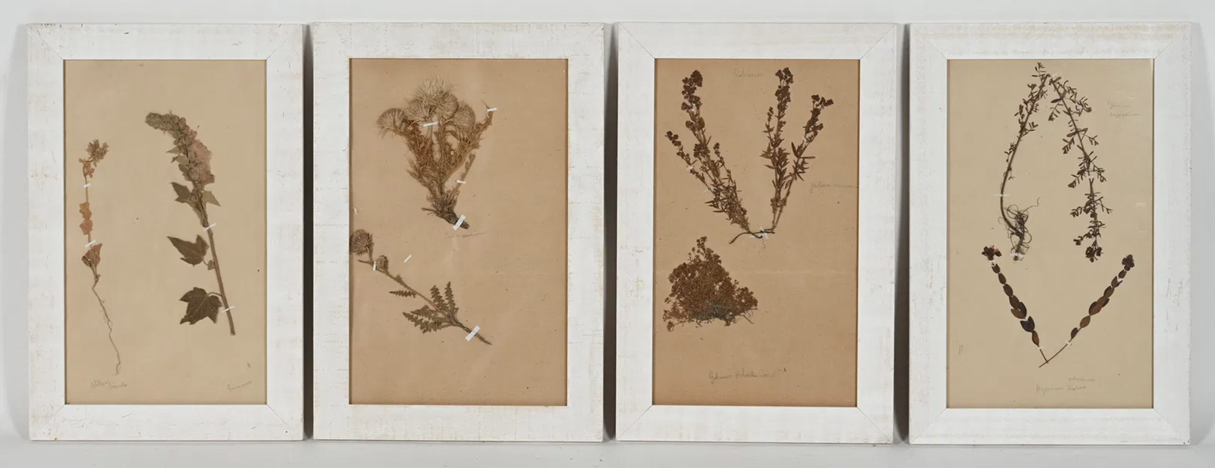 Screenshot 2025-06-16 at 10.21.53 AM.png