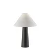 Black and White Payson Lamp from AllModern