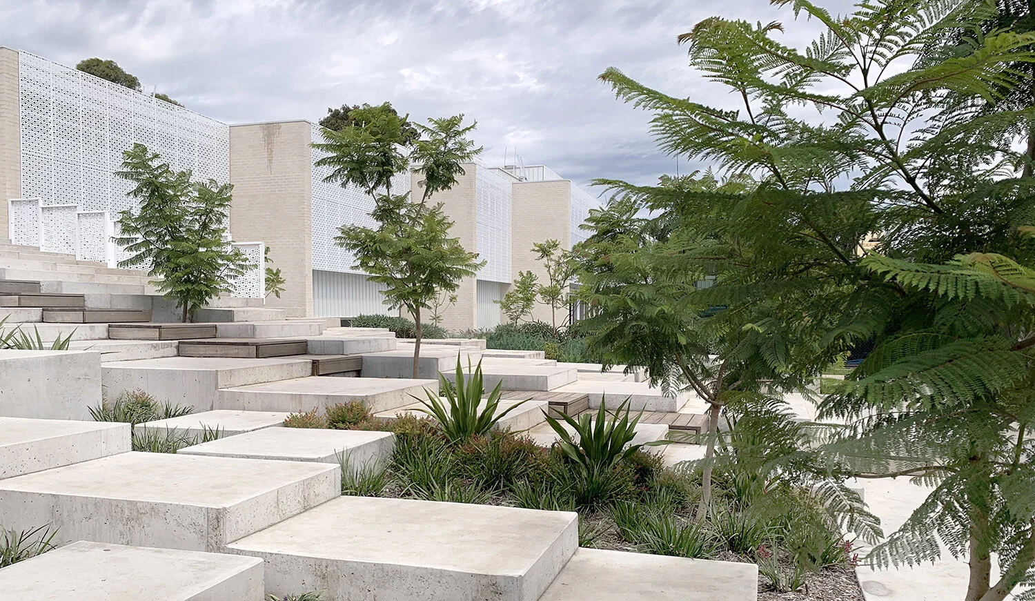 08 - GIANT'S CAUSEWAY ST FRANCIS XAVIER COLLEGE - KARL RUSSO.jpg