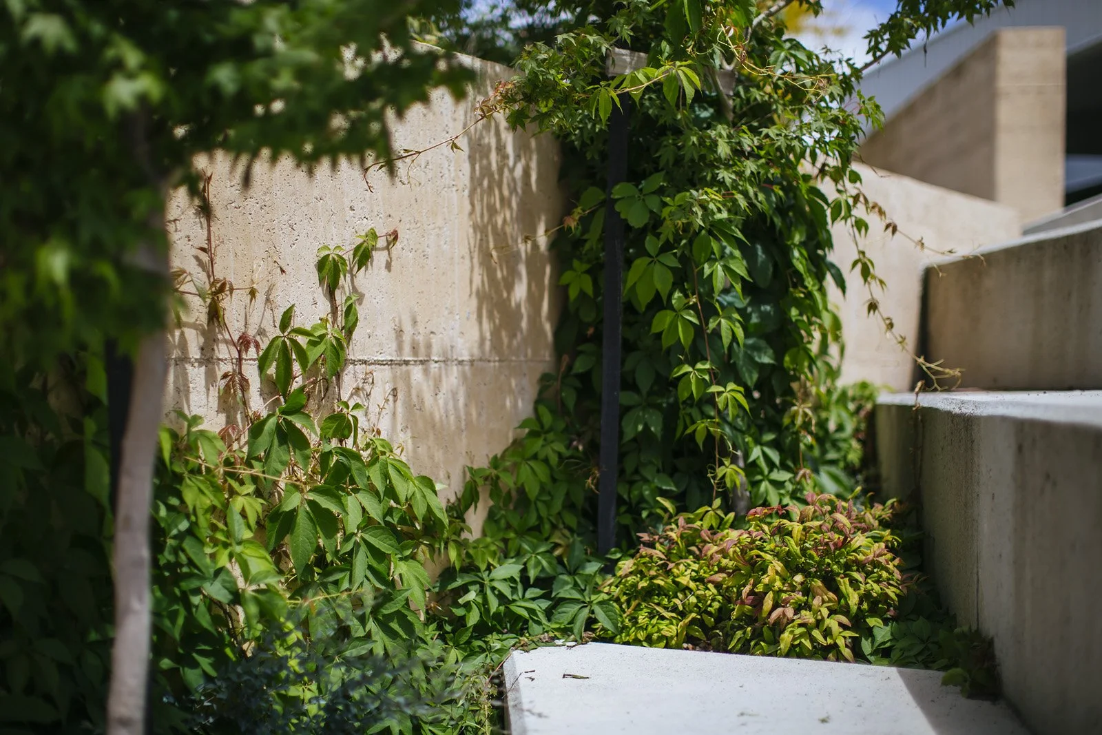 branchstudioarchitects_025__HAR0070.jpg
