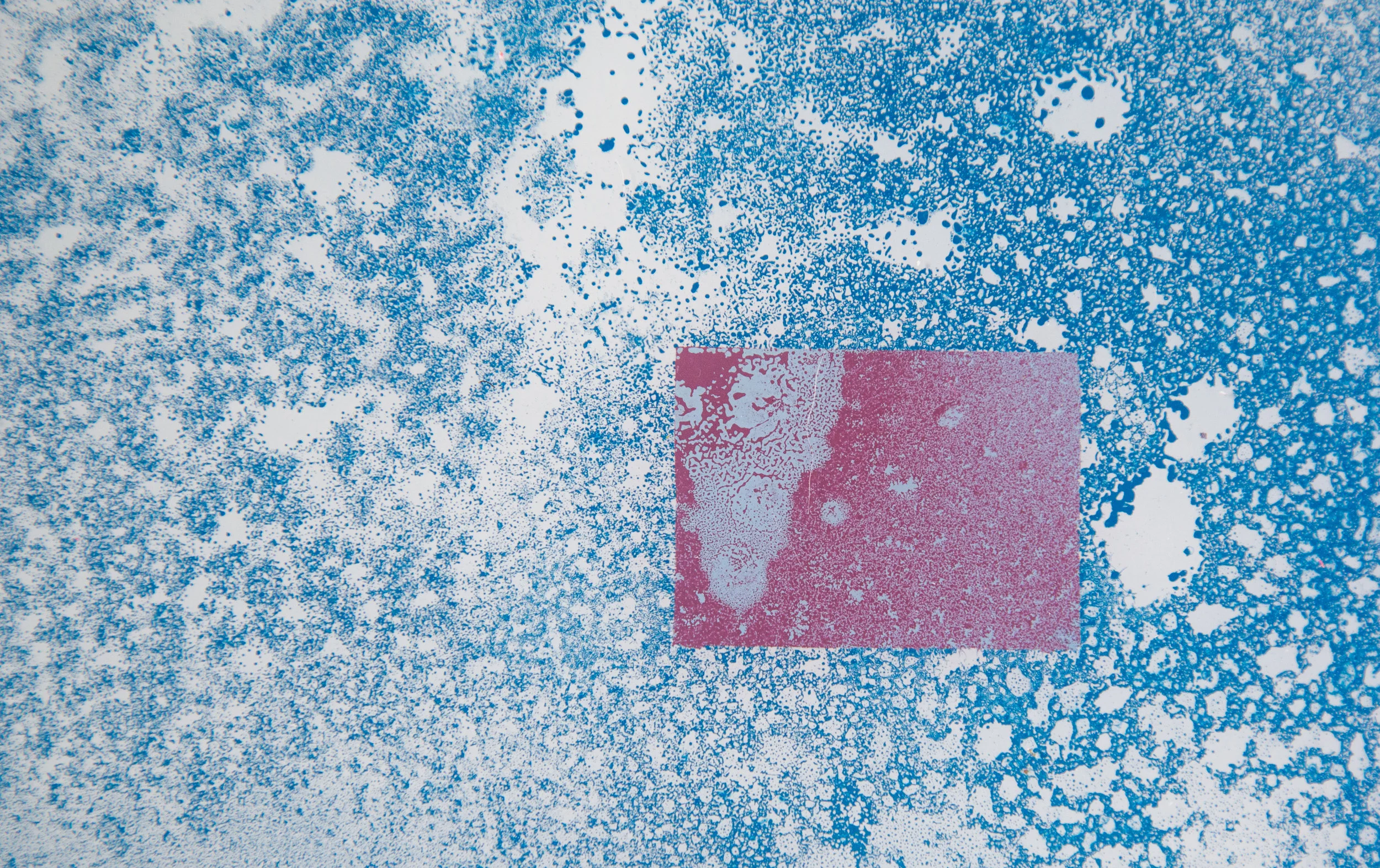 detail
