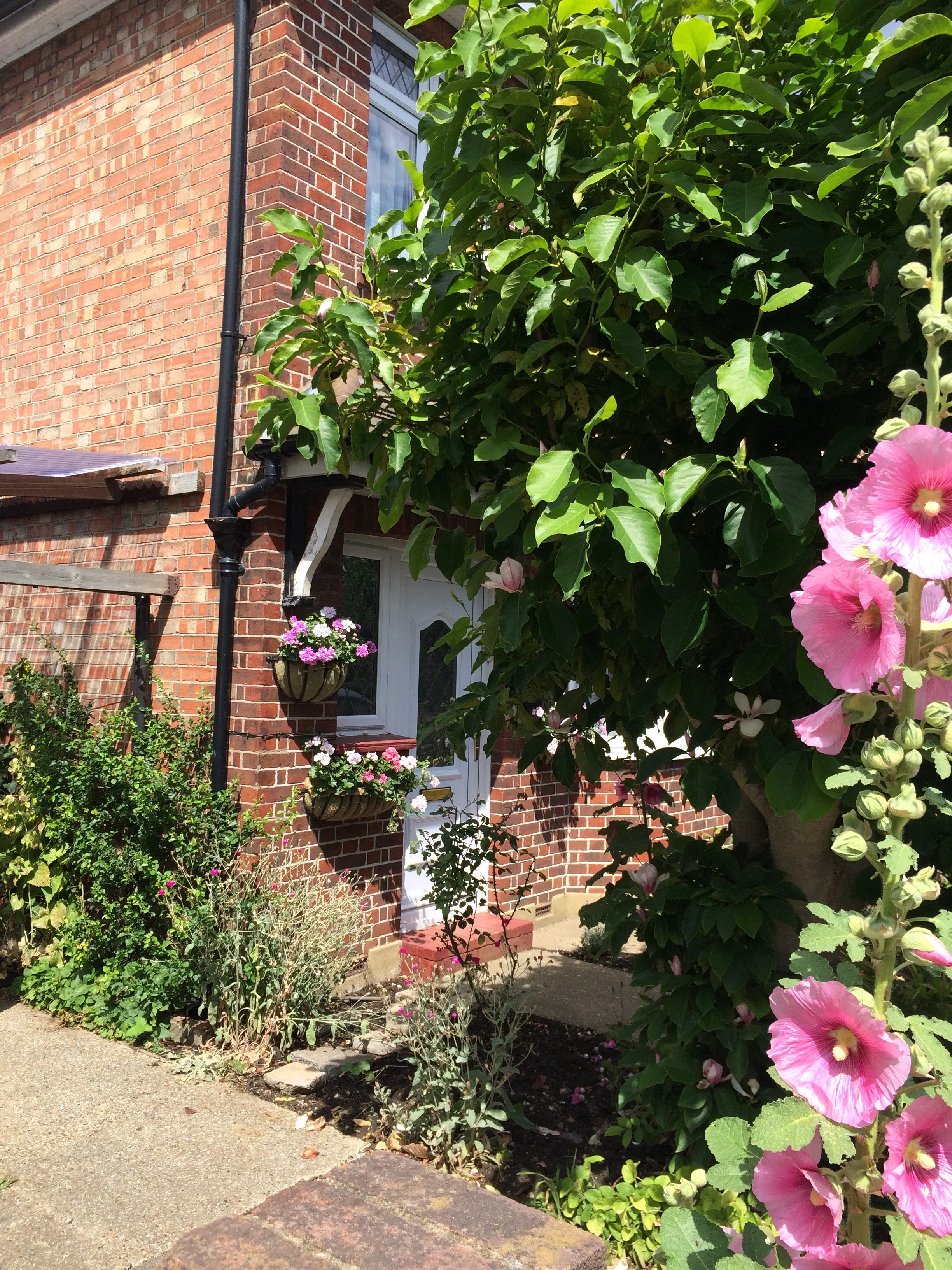 The dearest little garden at my Aunts upstairs, downstairs home in Staines where I stayed, commuting to & from London by train.