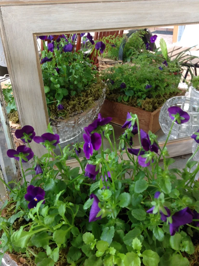 Another Vintage Frame & more potted Containers are then reflected on the Potting Table..