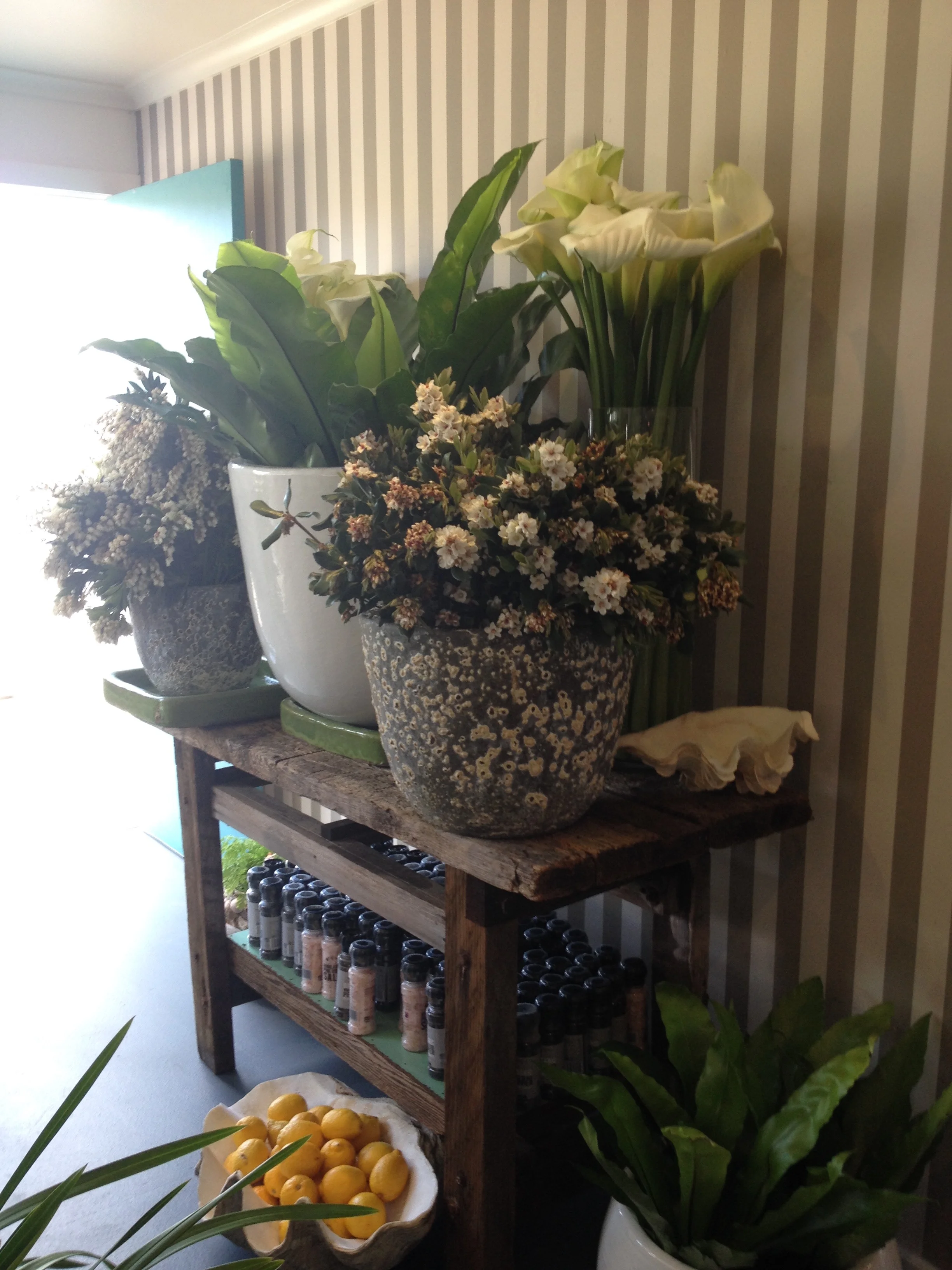 Opposite the high table & chairs at the Boatshed...gorgeous array of flowers for sale.