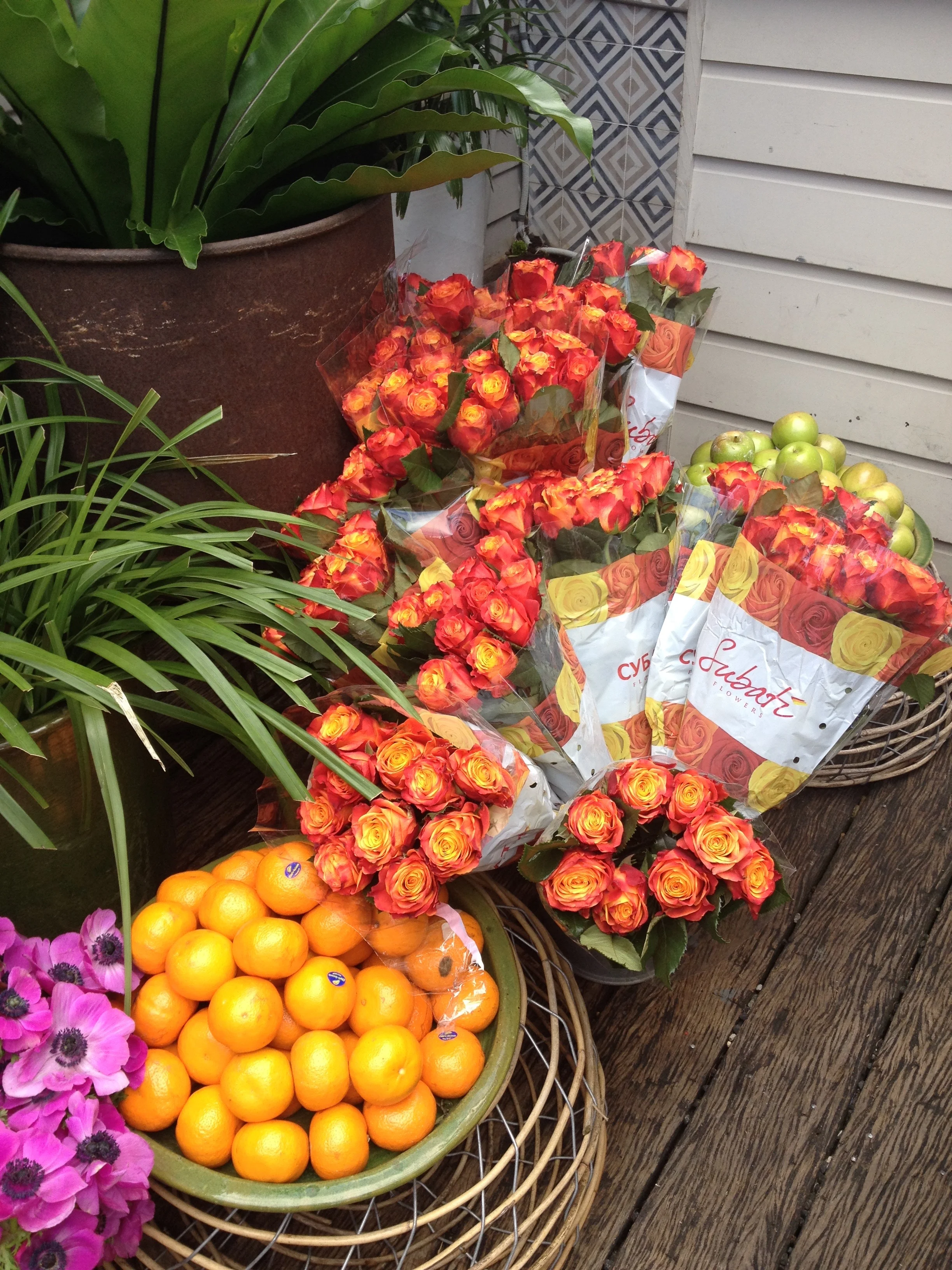 More Fruit & Flowers at the Boasted.