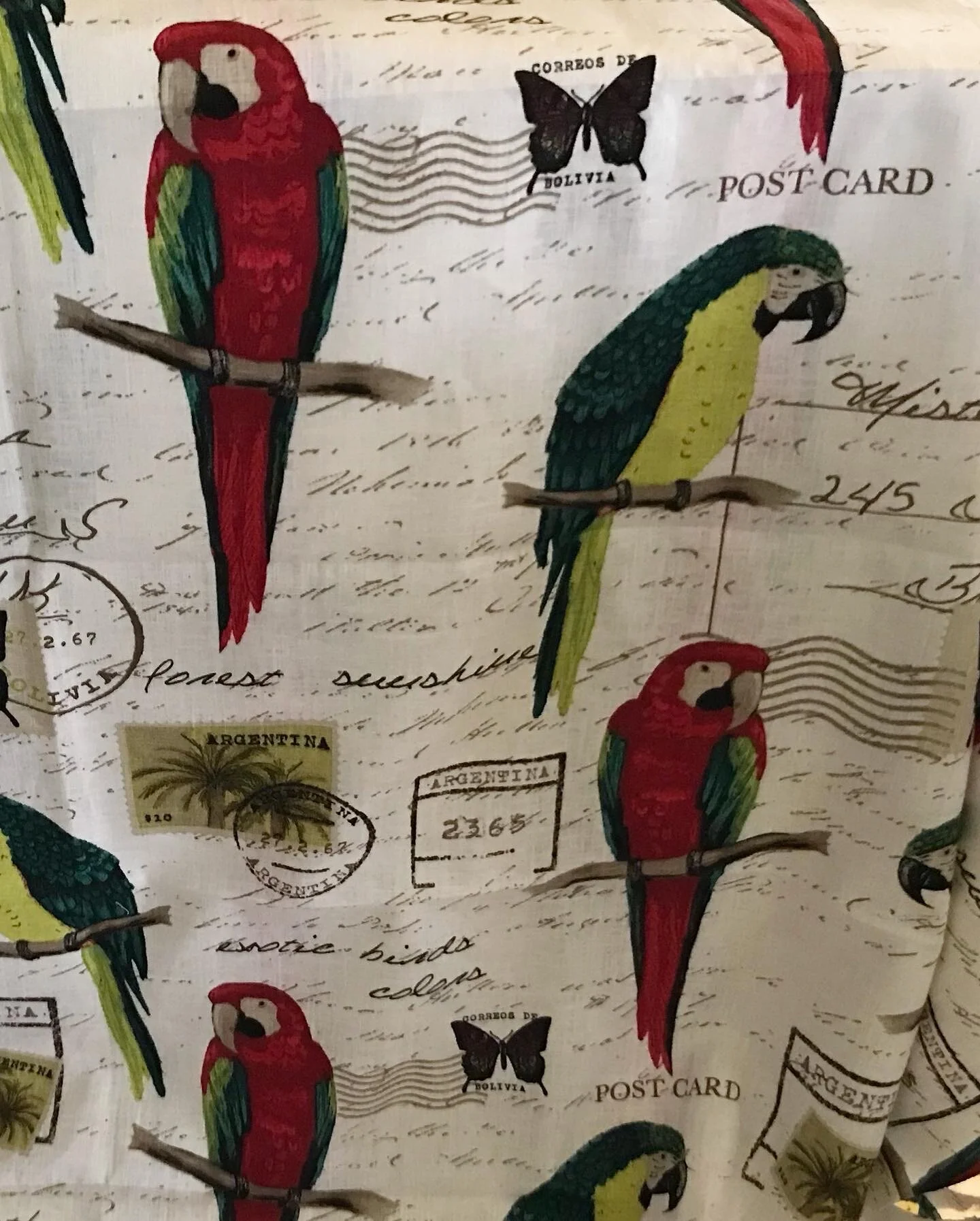 C32C1C91-4918-46FB-AB9B-4AC4971853BF