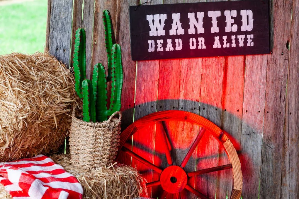 western-backdrop-decor-hire.jpg