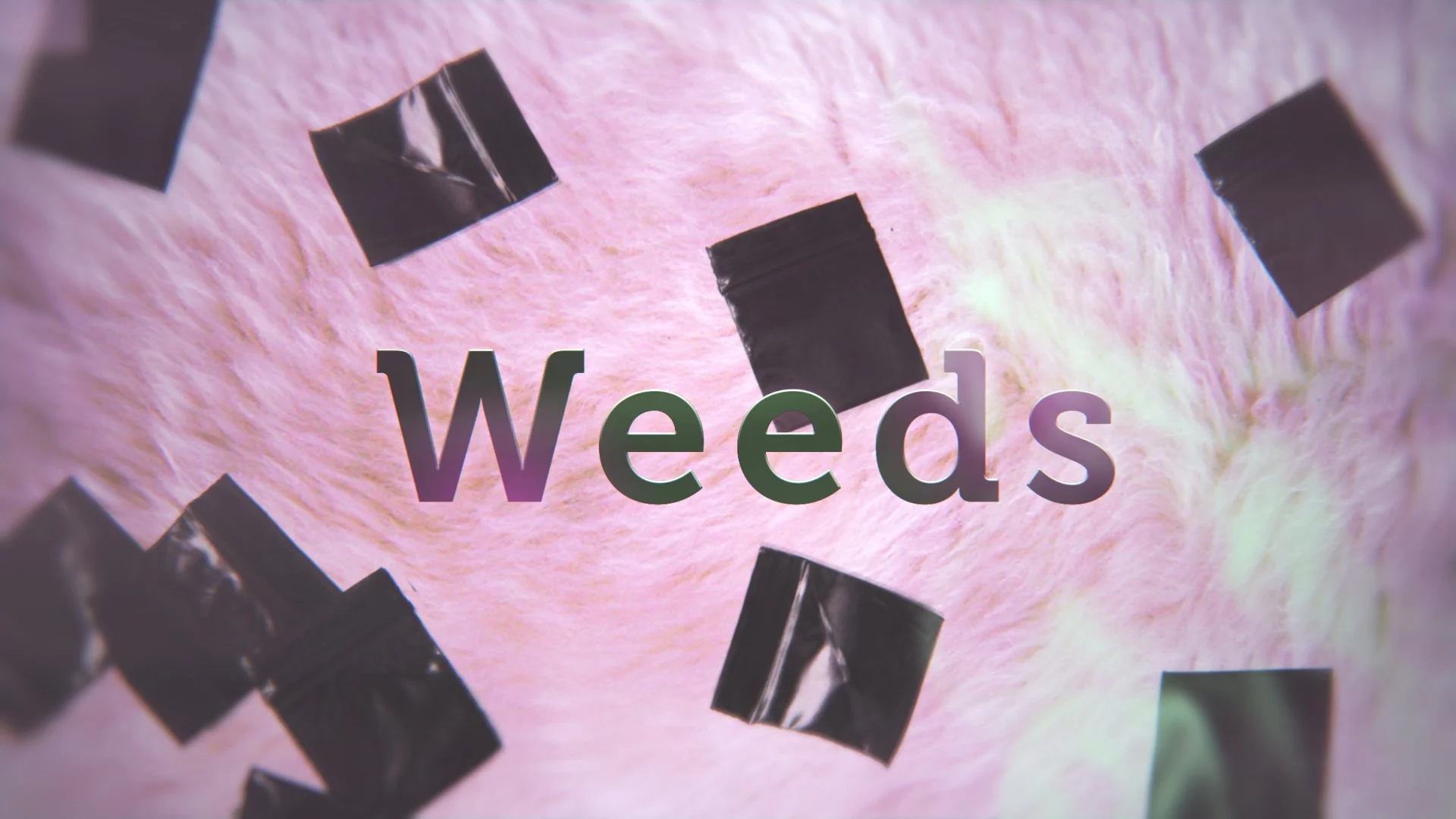 WEEDS_C.jpg