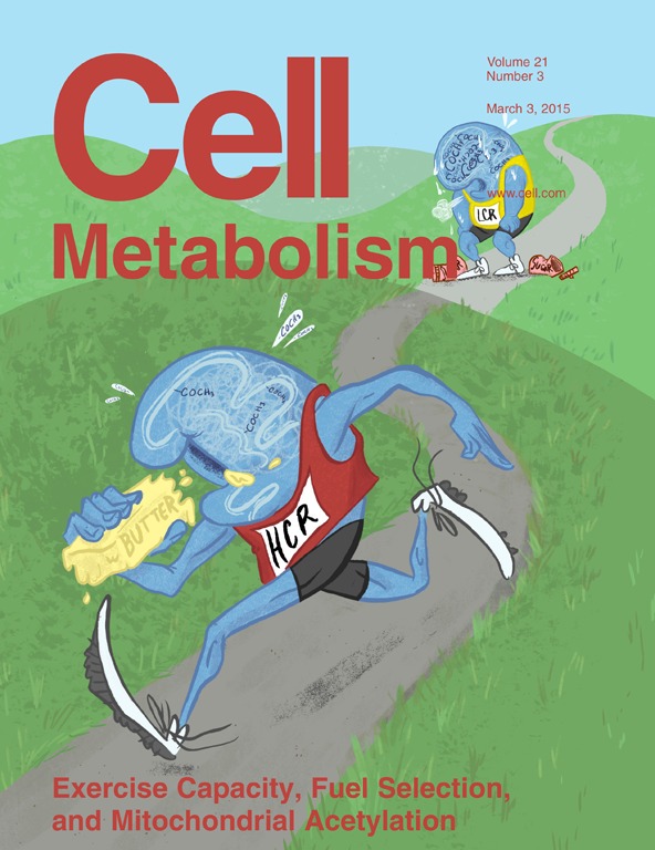 cell.jpeg