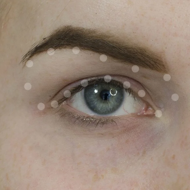 Champagne and Purple Halo Eyeshadow Tutorial
