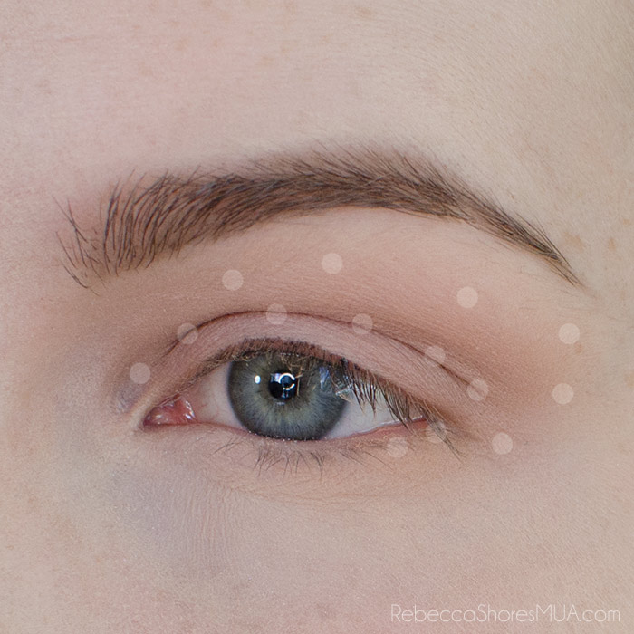 Burgundy and Gold Eyeshadow Tutorial