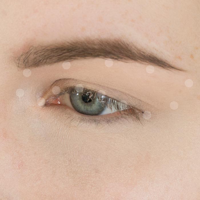 Plum and Champagne Halo Eyeshadow Tutorial