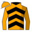 Cosmeena jockey silks