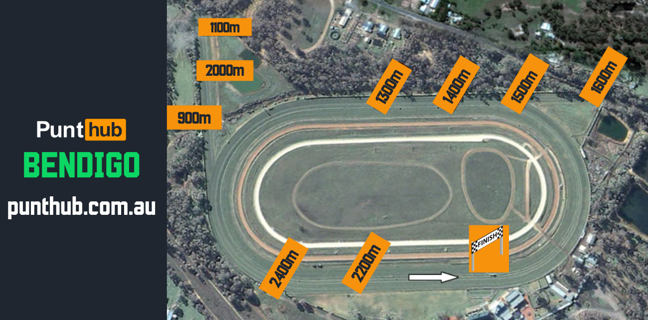 Punt Hub - Randwick Kensington, Bendigo, Happy Valley - BEST BETS
