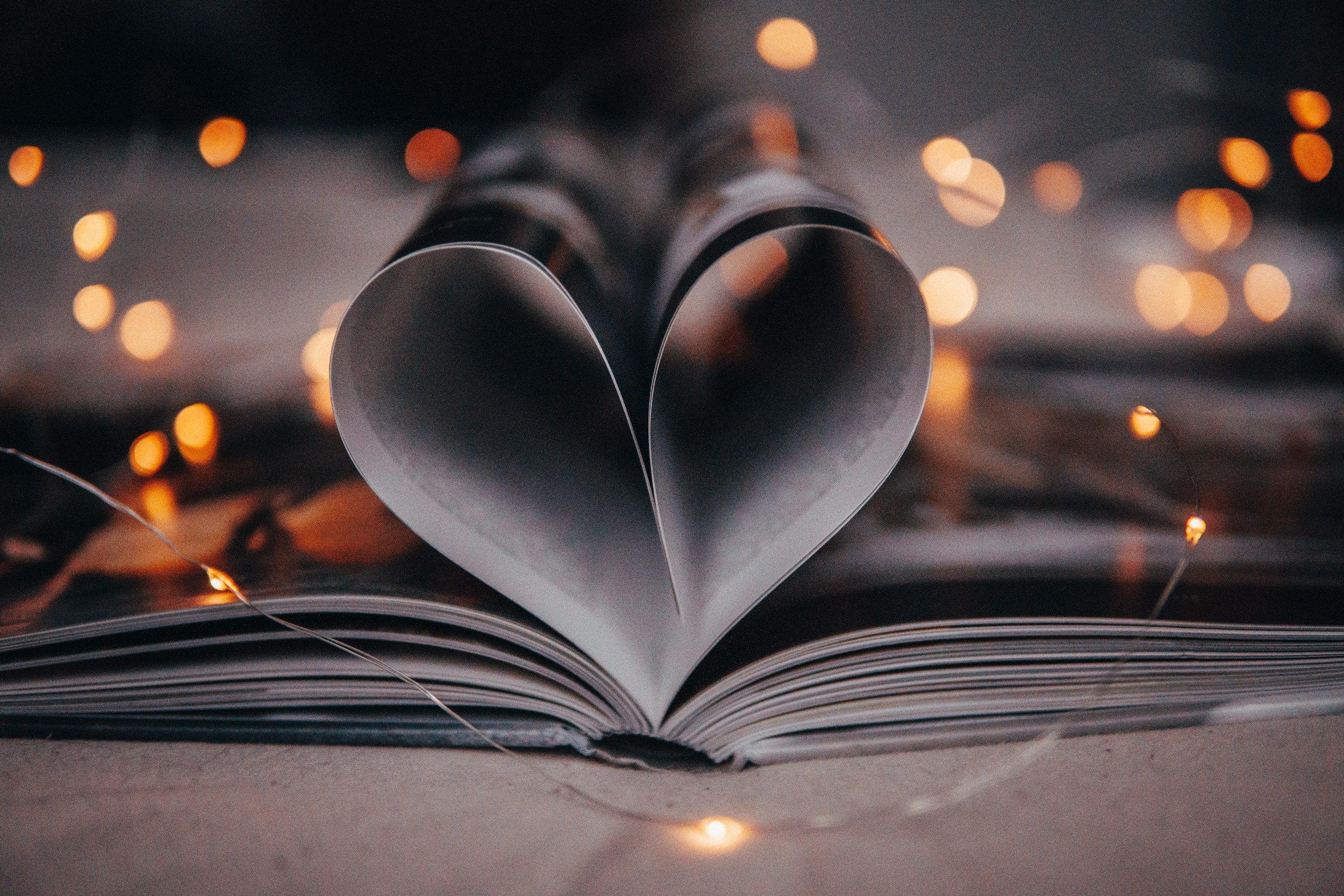 unsplash-image-LyOz2jJdCY8.jpg