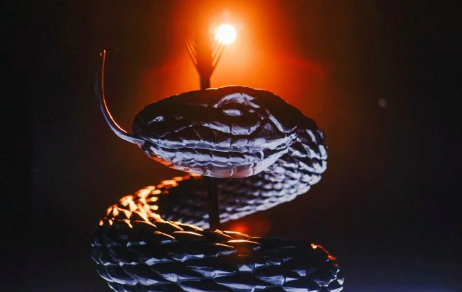 Snake_sculpture-670x423.jpg