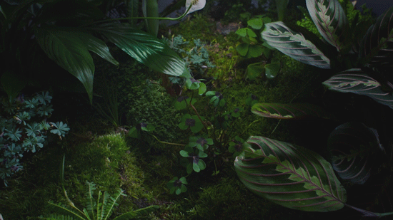 e4bb15b199ac8ba4ba4b27e43e85939f.gif