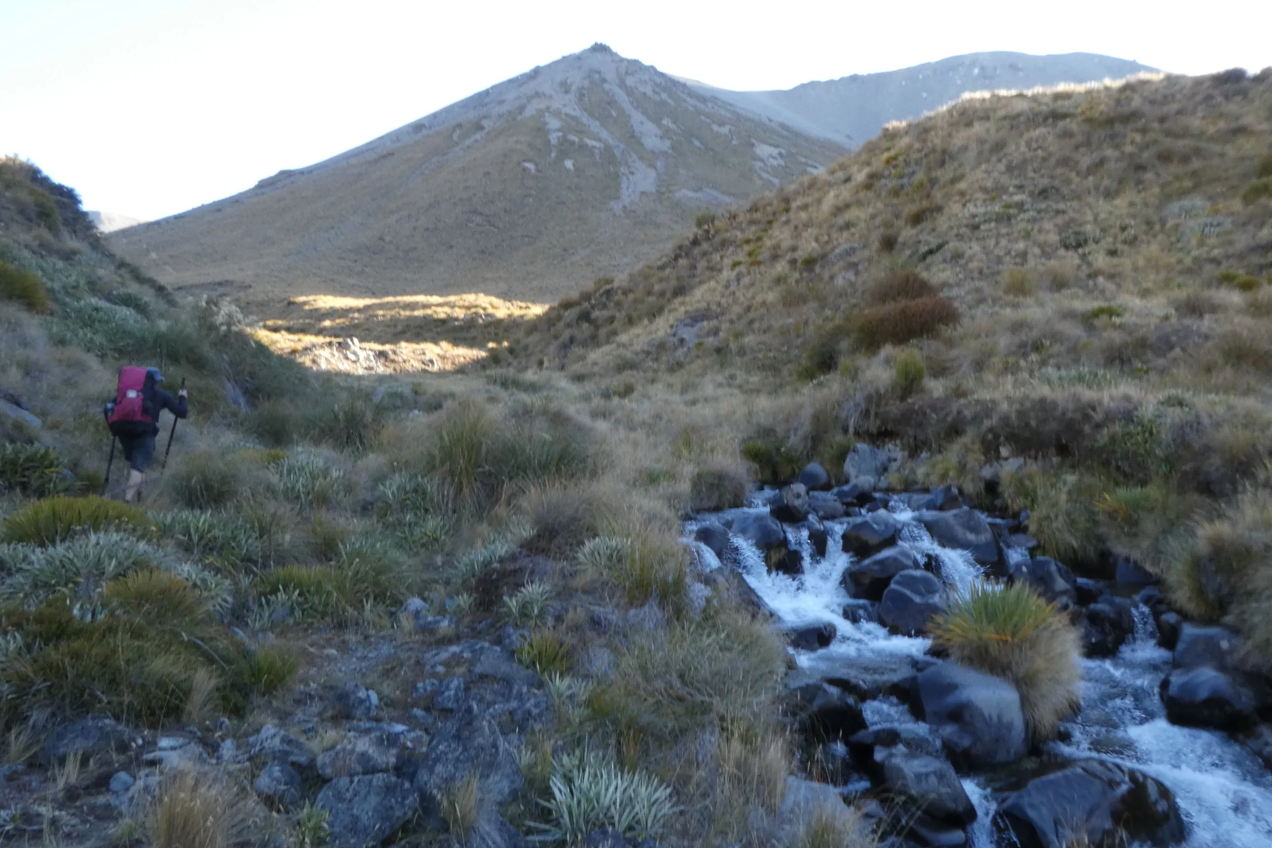 poles on way to clent.JPG