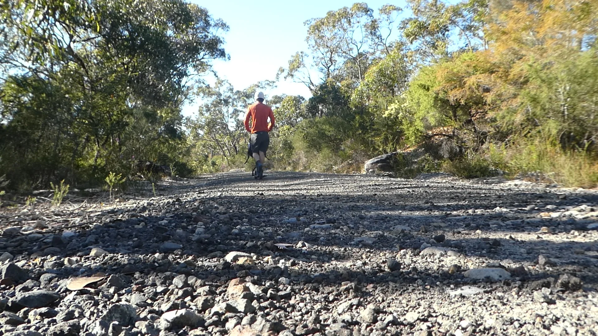 Cracking along down Dillons Firetrail